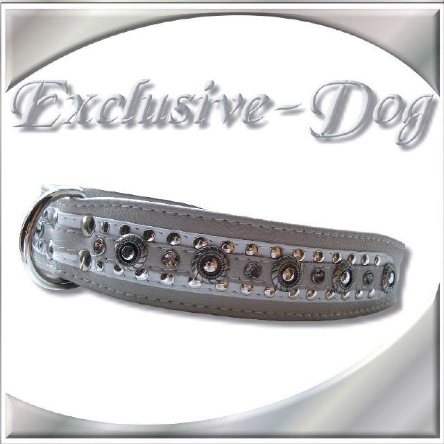 Rhodesian Ridgeback, Weimaraner-Lederhalsband