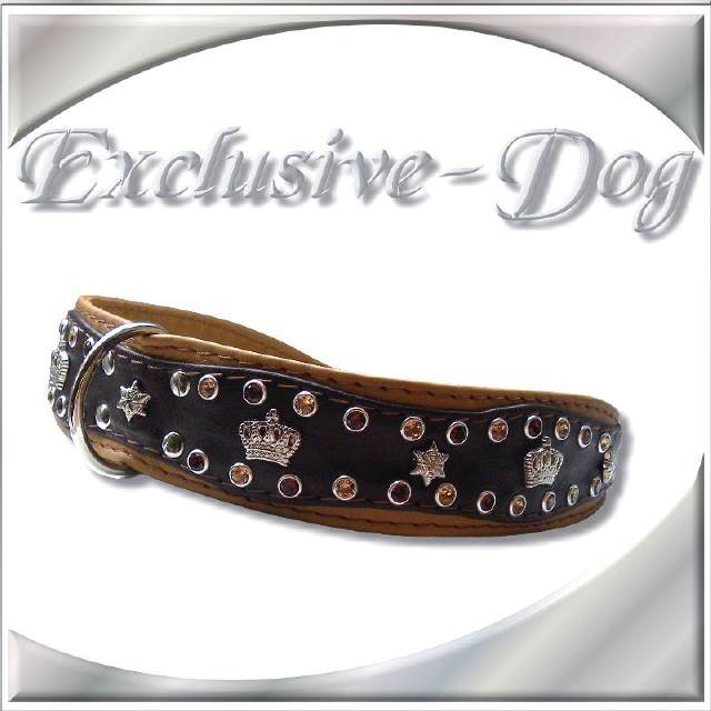 Hundehalsband " RUNNY "