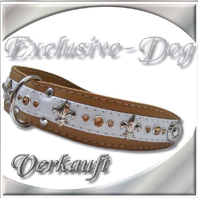 Hundehalsband JOLLY